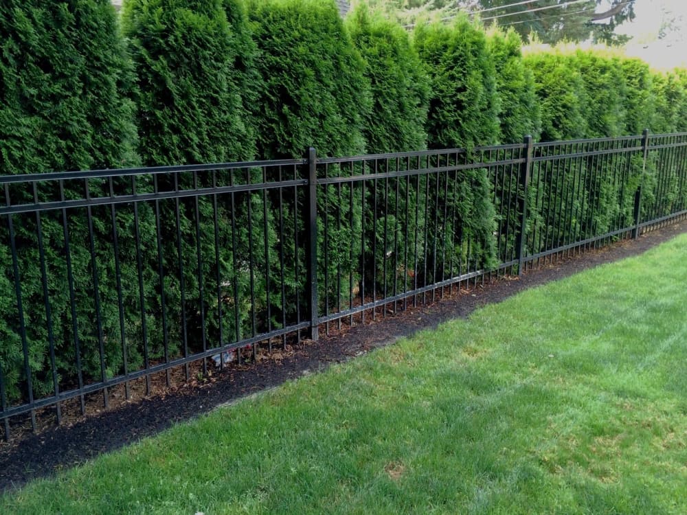 Gates & Fencing